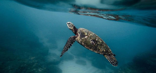 美国得州电价疯涨近200倍,近300万用户断电当地政府采取了什么举措?