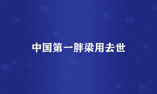 中国第一胖梁用去世