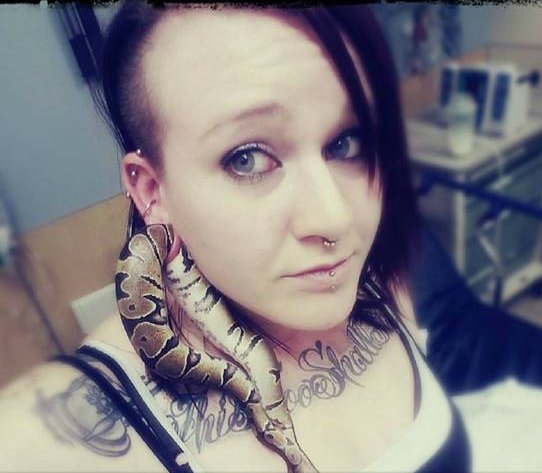 宠物蛇穿耳洞卡住是怎么回事？