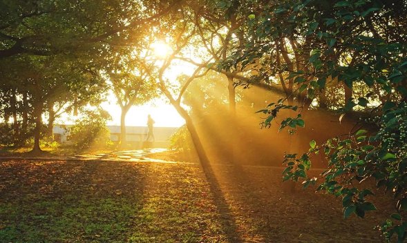 追逐的近义词有什么？