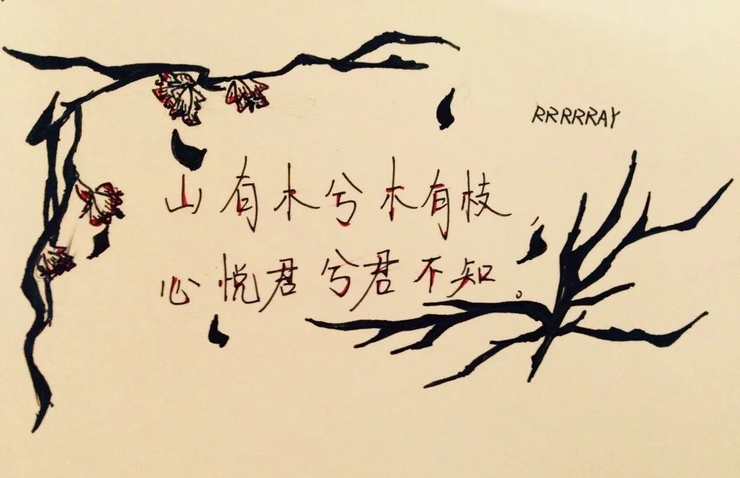 山有木兮木有枝的全文是什么？