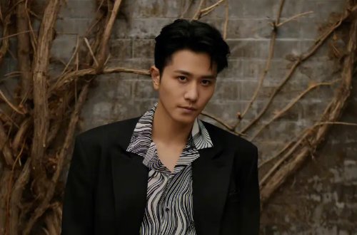 彭冠英主演的电视剧大全