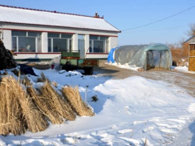 东北话“老登”是什么意思？