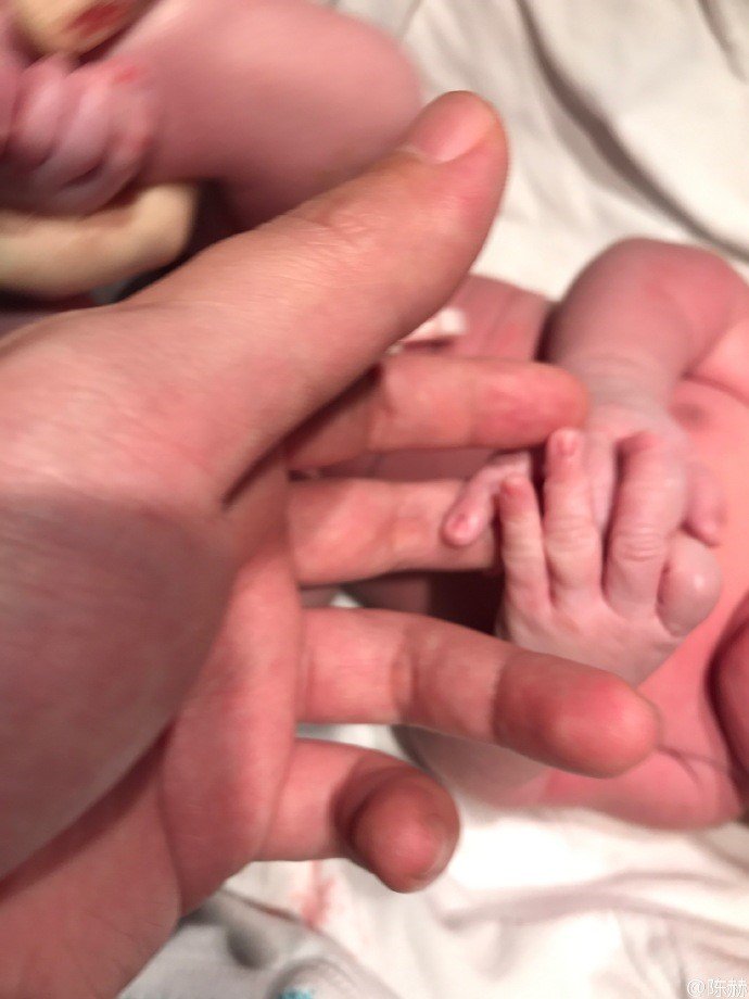 陈赫的女儿多少斤