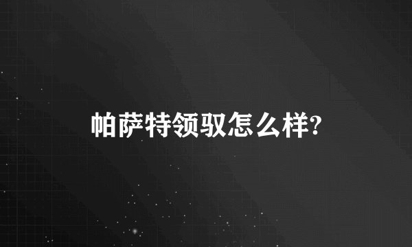 帕萨特领驭怎么样?