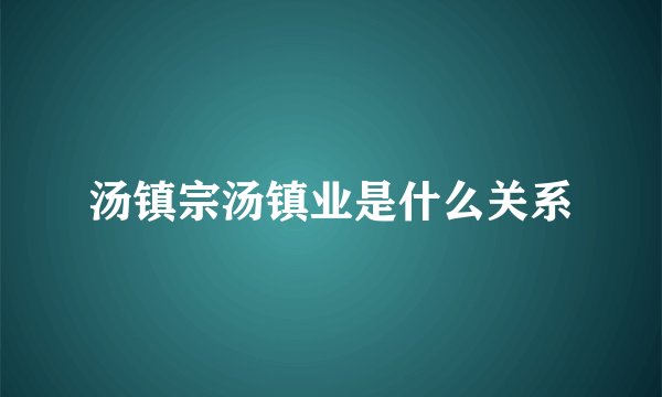 汤镇宗汤镇业是什么关系