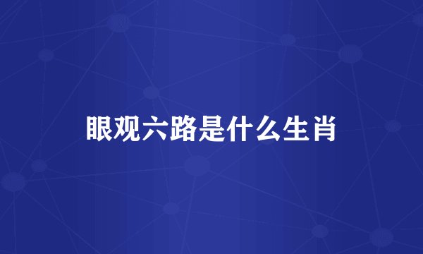 眼观六路是什么生肖