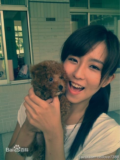 有爱一家人张茵茵扮演者周晓涵演过什么 张茵茵是谁演的