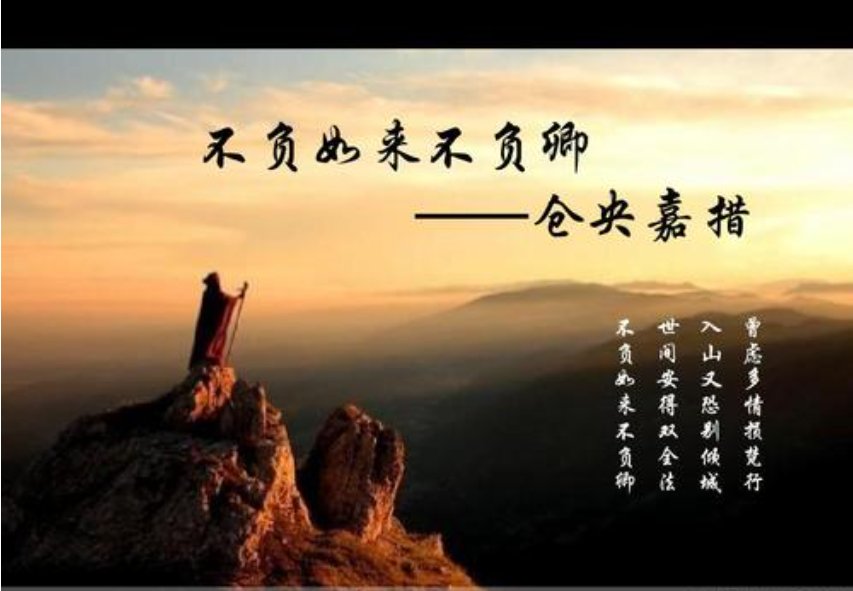 “不负如来不负卿”这句话是什么意思？？