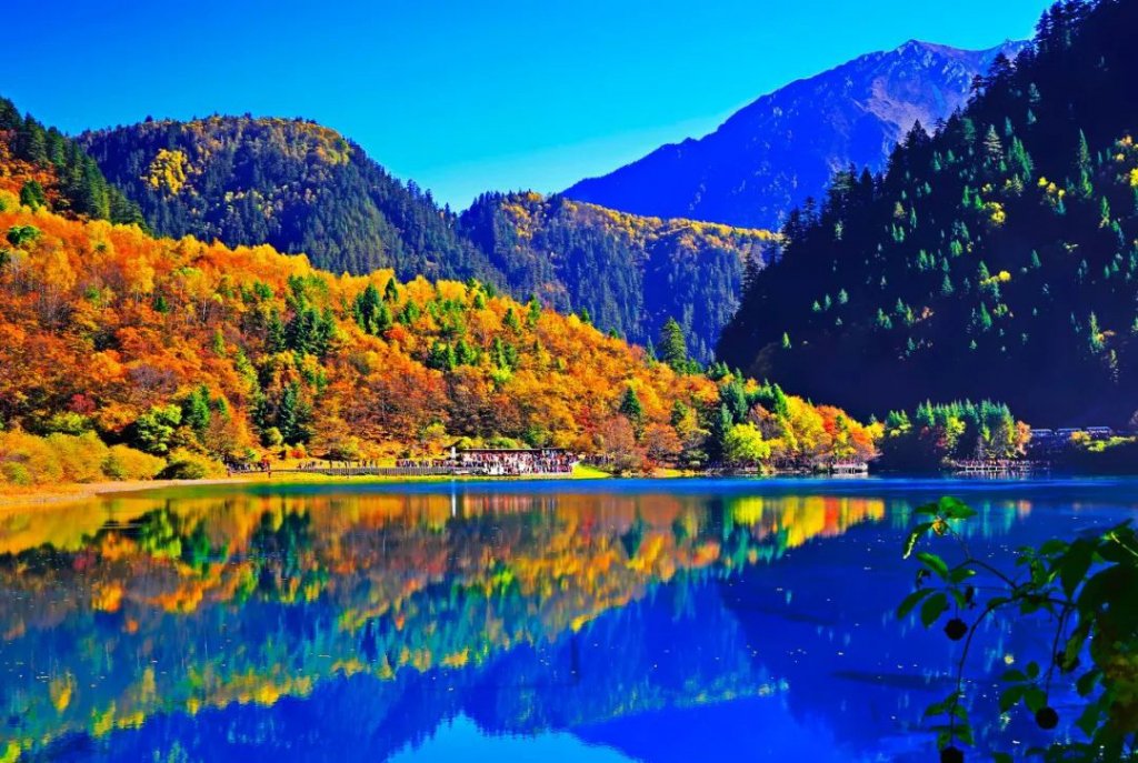 四川通报“4天参团游没看到九寨沟大门”一事，此事有哪些信息值得关注？