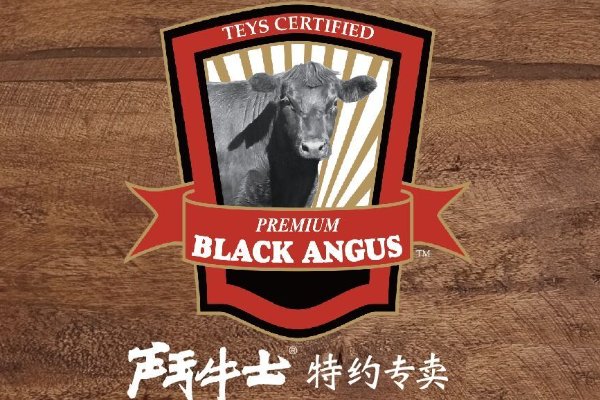 中国十大西餐品牌