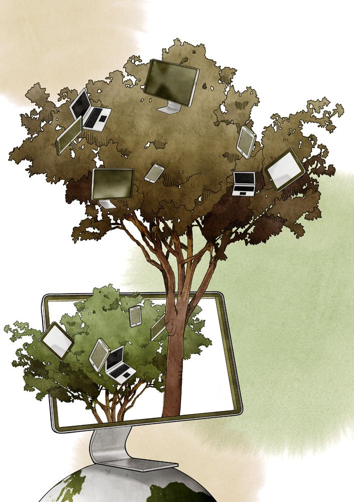 金融树的应用及效果