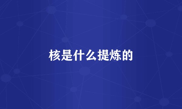 核是什么提炼的