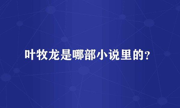 叶牧龙是哪部小说里的？