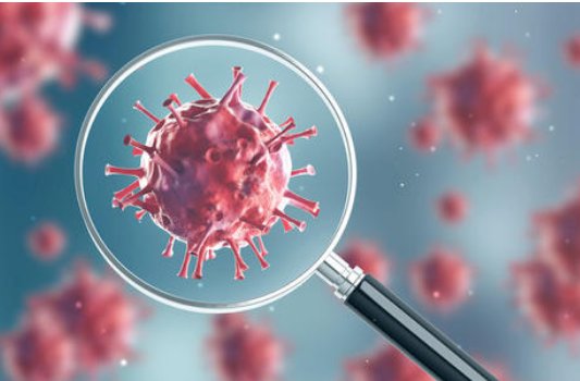 毒株是什么意思？