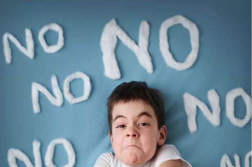 秉性是什么意思解释