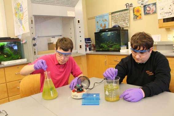 experiments什么意思