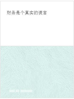 财务是个真实的谎言的内容简介