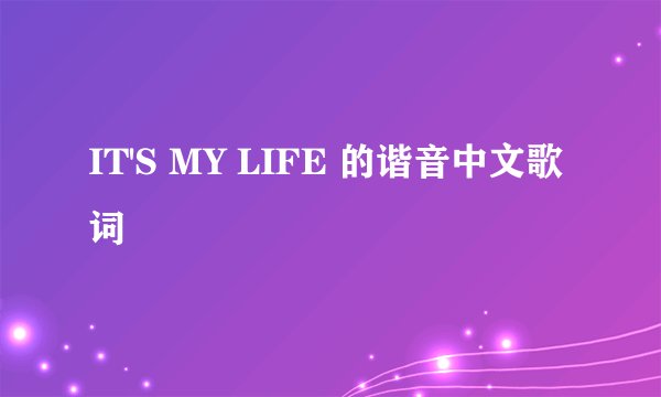 IT'S MY LIFE 的谐音中文歌词