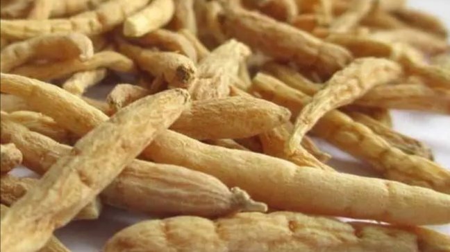 中药材出现大规模涨价,有哪些原因?