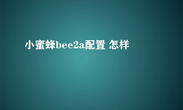 小蜜蜂bee2a配置 怎样