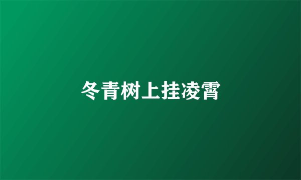 冬青树上挂凌霄