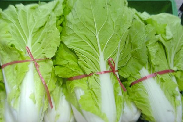 北京囤货太多市民直呼后悔，到底发生了什么？