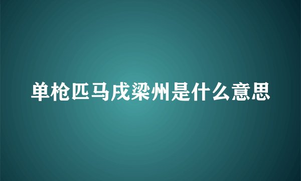 单枪匹马戌梁州是什么意思