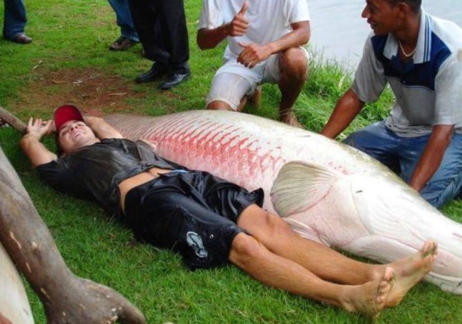 长沙男子湘江边钓到68斤鱤鱼，你见过最大的鱼有几斤？