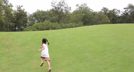 情投意合是什么意思