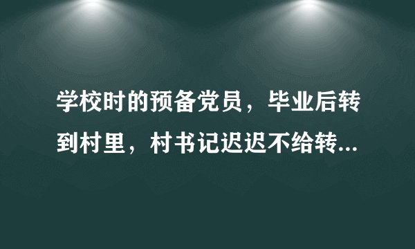 学校时的预备党员，毕业后转到村里，村书记迟迟不给转正，该去什么组织投诉