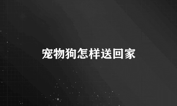 宠物狗怎样送回家