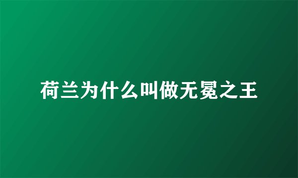 荷兰为什么叫做无冕之王