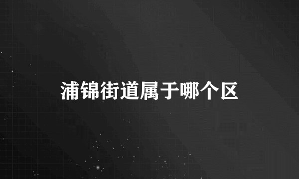 浦锦街道属于哪个区