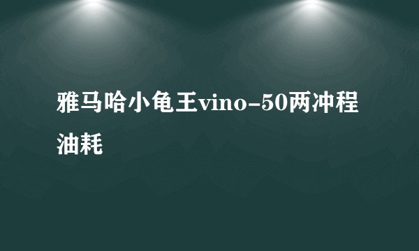 雅马哈小龟王vino-50两冲程油耗