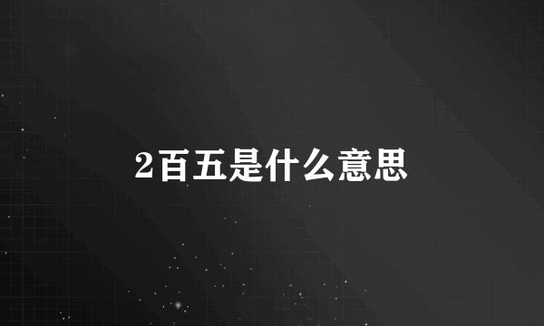 2百五是什么意思