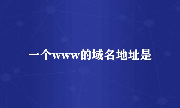 一个www的域名地址是