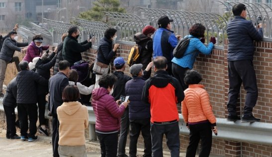 吃瓜群众的由来