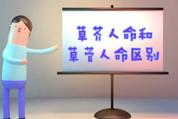 草菅人命意思是什么