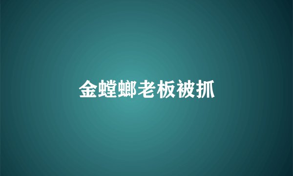 金螳螂老板被抓