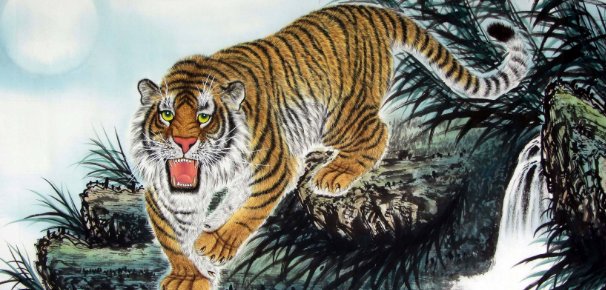 上山虎代表什么？