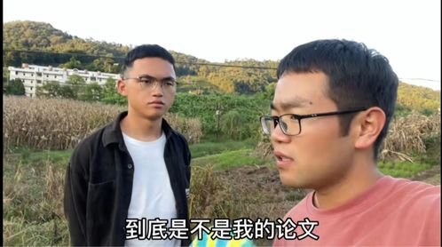 云南农大学生毕业论文被鸡吃了是虚构，当事人剪辑这一视频的初衷是什么？