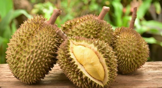 榴莲产地在我国哪里？