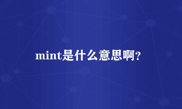 mint是什么意思啊？