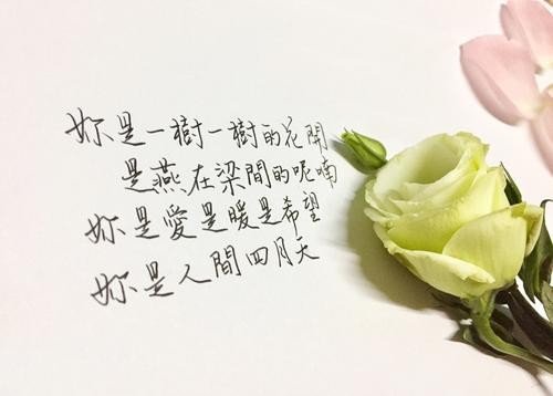 你是人间最美的四月天，不负春光与时行