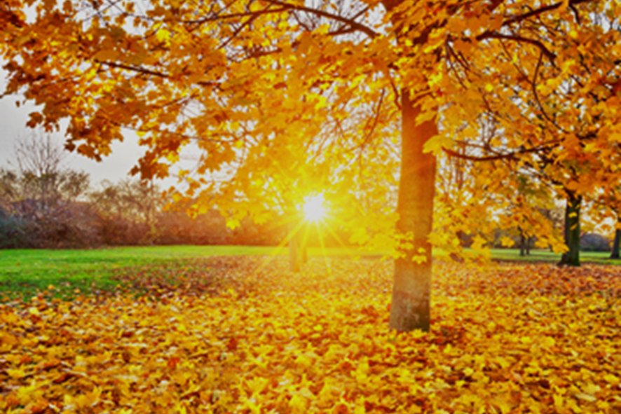 2023年入秋是公秋还是母秋