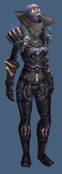 求魔兽皮甲所有部位带骷髅的幻化，例如盗贼t8,说明出处，说的好100分感谢