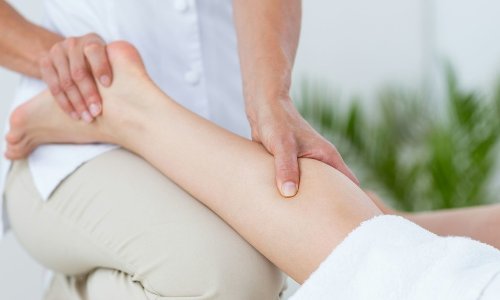 muscles是什么意思