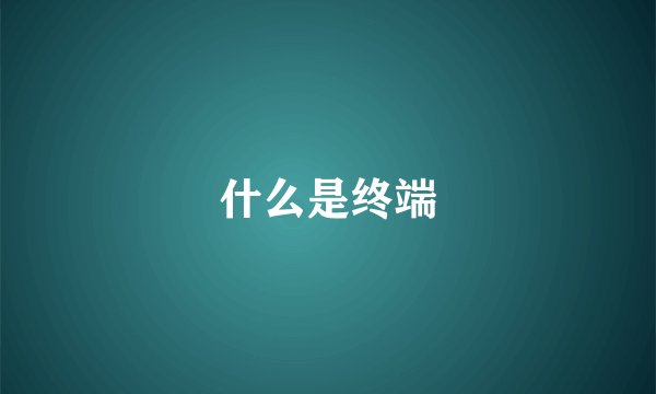 什么是终端