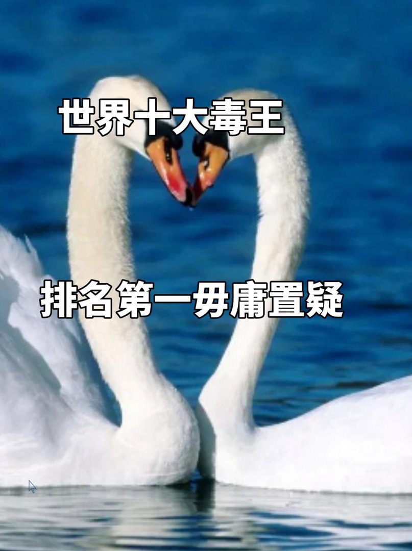 世界十大毒王，排名第一毋庸置疑